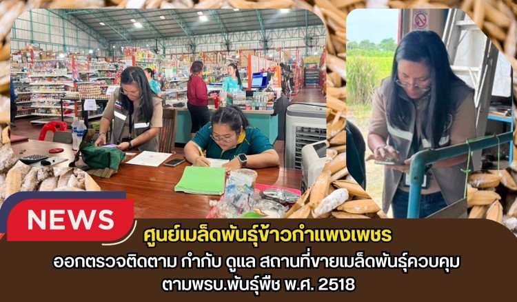 กำแพงเพชร-ศูนย์เมล็ดพันธุ์ข้าวกำแพงเพชร ออกตรวจติดตาม กำกับ ดูแล สถานที่ขายเมล็ดพันธุ์ควบคุม ตามพรบ.พันธุ์พืช พ.ศ. 2518