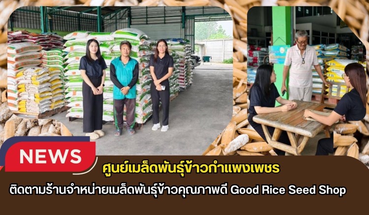 กำแพงเพชร-ศูนย์เมล็ดพันธุ์ข้าวกำแพงเพชร ติดตามร้านจำหน่ายเมล็ดพันธุ์ข้าวคุณภาพดี Good Rice Seed Shop