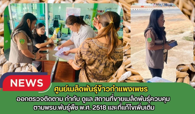 กำแพงเพชร-ศูนย์เมล็ดพันธุ์ข้าวกำแพงเพชร ออกตรวจติดตาม กำกับ ดูแล สถานที่ขายเมล็ดพันธุ์ควบคุม ตามพรบ.พันธุ์พืช พ.ศ. 2518 และที่แก้ไขเพิ่มเติม