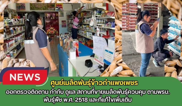 กำแพงเพชร-ศูนย์เมล็ดพันธุ์ข้าวกำแพงเพชร ออกตรวจติดตาม กำกับ ดูแล สถานที่ขายเมล็ดพันธุ์ควบคุม ตามพรบ.พันธุ์พืช พ.ศ. 2518 และที่แก้ไขเพิ่มเติม