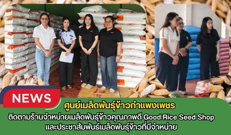 กำแพงเพชร-ศูนย์เมล็ดพันธุ์ข้าวกำแพงเพชร ติดตามร้านจำหน่ายเมล็ดพันธุ์ข้าวคุณภาพดี Good Rice Seed Shopและประชาสัมพันธ์เมล็ดพันธุ์ข้าวที่มีจำหน่าย