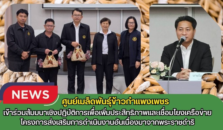 กำแพงเพชร-ศูนย์เมล็ดพันธุ์ข้าวกำแพงเพชร เข้าร่วมสัมมนาเชิงปฏิบัติการเพื่อเพิ่มประสิทธิภาพและเชื่อมโยงเครือข่าย โครงการส่งเสริมการดำเนินงานอันเนื่องมาจากพระราชดำริ