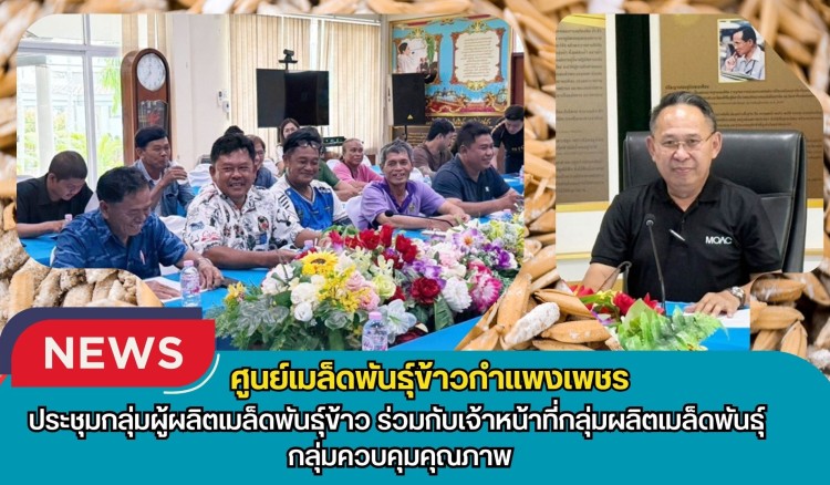 กำแพงเพชร-ศูนย์เมล็ดพันธุ์ข้าวกำแพงเพชร ประชุมกลุ่มผู้ผลิตเมล็ดพันธุ์ข้าว ร่วมกับเจ้าหน้าที่กลุ่มผลิตเมล็ดพันธุ์ กลุ่มควบคุมคุณภาพ