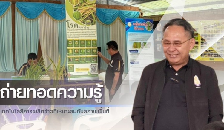 กำแพงเพชร-ศูนย์เมล็ดพันธุ์ข้าวกำแพงเพชร จัดประชุมถ่ายทอดความรู้เทคโนโลยีการผลิตข้าวที่เหมาะสมกับสภาพพื้นที่