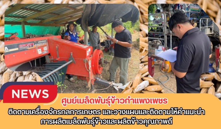 กำแพงเพชร-ศูนย์เมล็ดพันธุ์ข้าวกำแพงเพชร ติดตามเครื่องจักรกลการเกษตร และวางแผนและติดตามให้คำแนะนำการผลิตเมล็ดพันธุ์ข้าวและผลิตข้าวคุณภาพดี