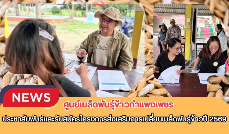 กำแพงเพชร-ศูนย์เมล็ดพันธุ์ข้าวกำแพงเพชร ประชาสัมพันธ์และรับสมัครโครงการส่งเสริมการเปลี่ยนเมล็ดพันธุ์ข้าวปี 2569