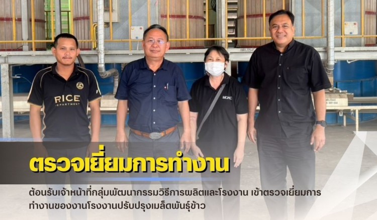 กำแพงเพชร-ศูนย์เมล็ดพันธุ์ข้าวกำแพงเพชร ตรวจเยี่ยมการทำงานของงานโรงงานปรับปรุงเมล็ดพันธุ์ข้าว A1 และ โรงงานปรับปรุงเมล็ดพันธุ์ข้าว A2