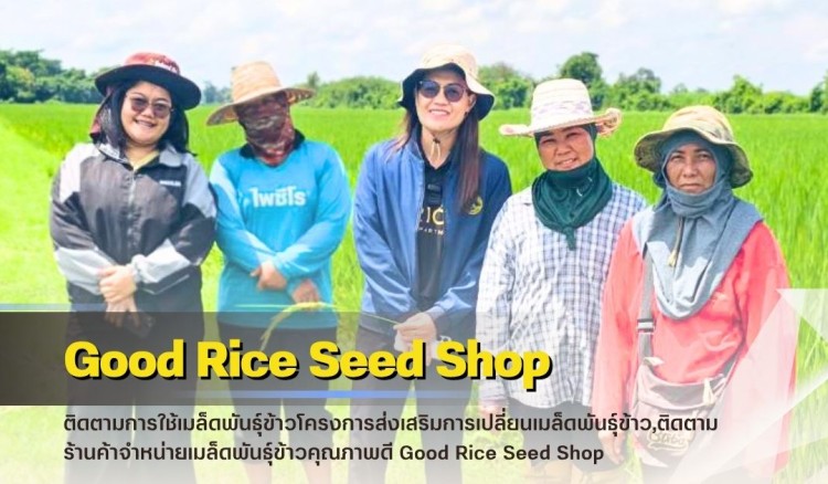 กำแพงเพชร-ศูนย์เมล็ดพันธุ์ข้าวกำแพงเพชร ติดตามร้านค้าจำหน่ายเมล็ดพันธุ์ข้าวคุณภาพดี Good Rice Seed Shop