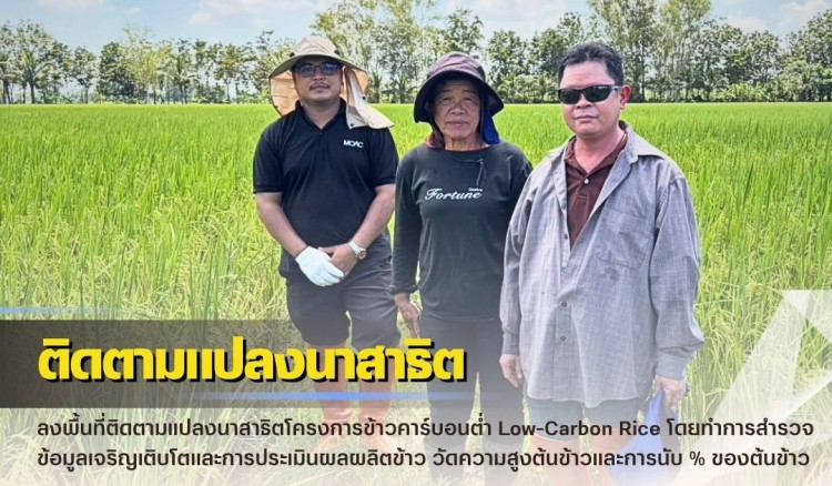 กำแพงเพชร-ศูนย์เมล็ดพันธุ์ข้าวกำแพงเพชร ลงพื้นที่ติดตามแปลงนาสาธิตโครงการข้าวคาร์บอนต่ำ “Low-Carbon Rice”