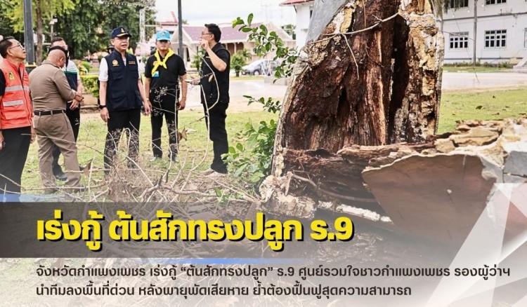 กำแพงเพชร-เร่งกู้ “ต้นสักทรงปลูก” ร.9 ศูนย์รวมใจชาวกำแพงเพชร รองผู้ว่าฯ นำทีมลงพื้นที่ด่วน หลังพายุพัดเสียหาย ย้ำต้องฟื้นฟูสุดความสามารถ
