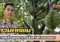 กำแพงเพชร-สวนทุเรียนสุขนาบูรณ์ กำแพงเพชร จัดโปรโมชั่นพิเศษสำหรับสัปดาห์นี้ ทุเรียนหมอนทอง หน้าสวนขายกิโลกรัมละ 109 บาท ถึง 119 บาท