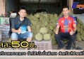 กำแพงเพชร-ทุเรียนหมอนทองขายกิโลกรัมละ 50 ถึง 89 บาท โปรโมชั่นพิเศษสำหรับสัปดาห์นี้ ณ สวนทุเรียนสุขนาบูรณ์กำแพงเพชร