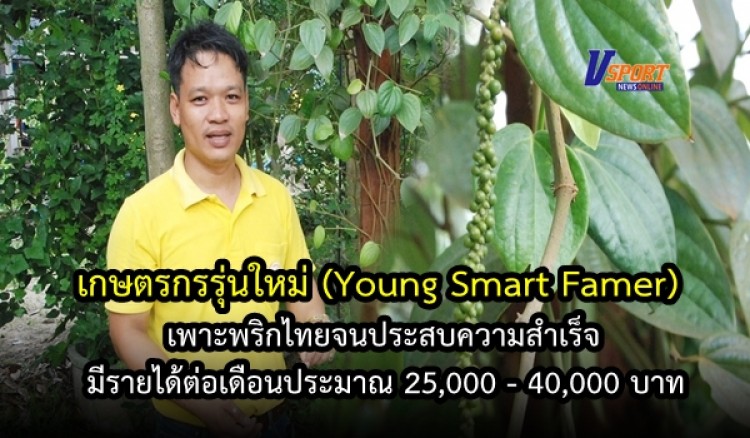 เกษตรกรรุ่นใหม่(Young Smart Famer)เพาะพริกไทย จนประสบความสำเร็จ มีรายได้ต่อเดือนประมาณ 25,000 - 40,000 บาท
