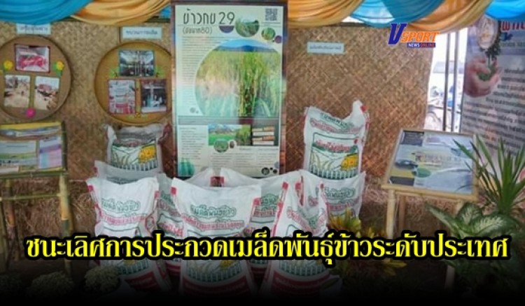 กำแพงเพชร-บ้านไร่สุขขุม ตำบลห้วยยั้ง ได้รับข่าวดีชนะเลิศการประกวดกลุ่มผลิตเมล็ดพันธุ์ข้าวระดับประเทศไทย 