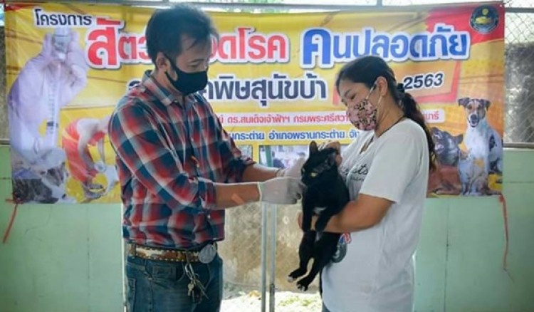 กำแพงเพร-ประชาชนในเขตเทศบาลตำบลพรานกระต่าย นำสุนัขและแมวฉีดวัคซีนป้องกันพิษสุนัขบ้า