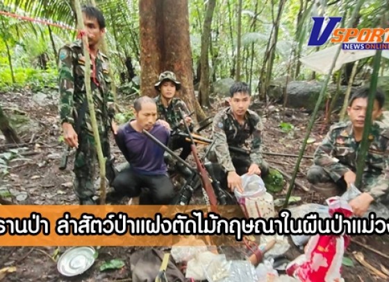 กำแพงเพชร-จับพรานป่า ชาวไทยภูเขา พบอาวุธเพียบลุยล่าสัตว์ป่าแฝงตัดไม้กฤษณาในผืนป่าแม่วงก์